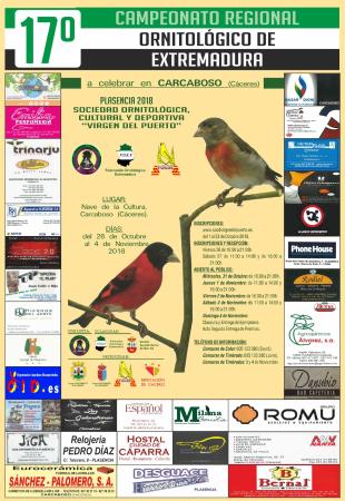 concurso canario.jpeg