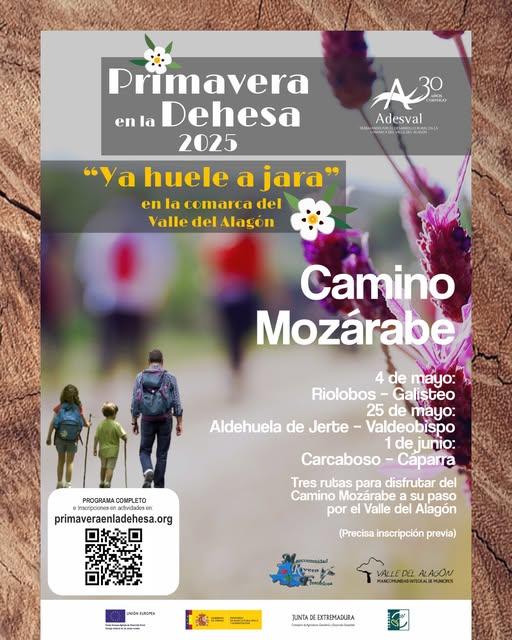 Imagen Recorrido del camino mozárabe.