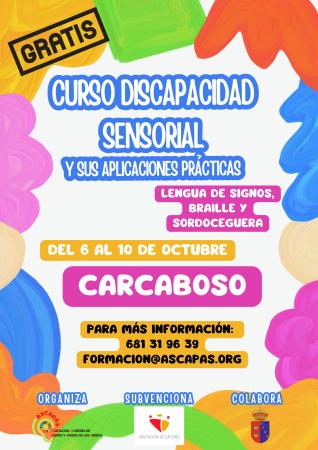 Imagen Curso Discapacidad Sensorial y sus aplicaciones practicas